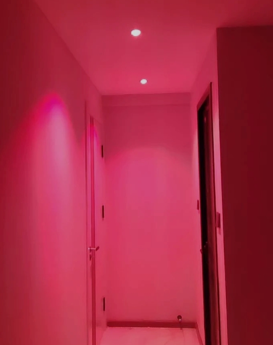 1788516188312